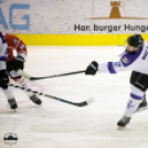 Dunaújvárosi Acélbikák 