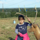 Múzeumok Éjszakája