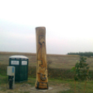 Baracsi alkotások- Welser Gabriella képei