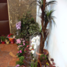 „Virágos Dunaújvárosért 2014” verseny