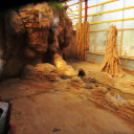 Hónap diákjai az állatkertben