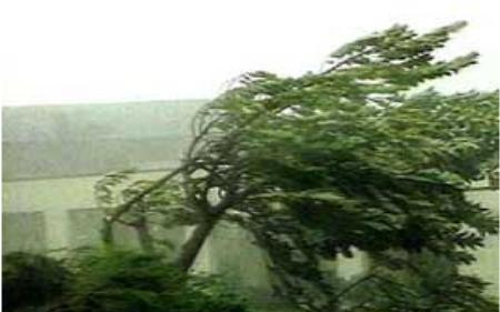 Tetőt tépett a szél