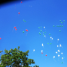 Ovifoci- pályaavató