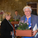 „Virágos Dunaújvárosért 2014” verseny