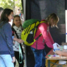 Európai Autómentes nap