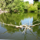 Hónap diákjai az állatkertben