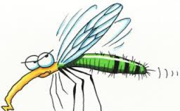 Jaj, a szúnyogoknak!