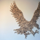 Szalay Péter „Embert keresek” kiállítása