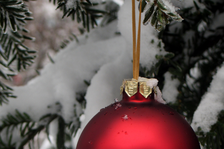 Díszítsünk fát a rászorulóknak!