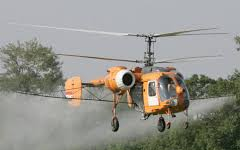 Jaj, a szúnyogoknak !