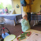 Születés hete - piknik