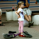 Nyárévzáró program