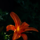 Képeket vegyenek az Arany iskoláért!