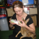 Tetőzik az ár Dunaújváros és környékén - Keresztury János felvételei