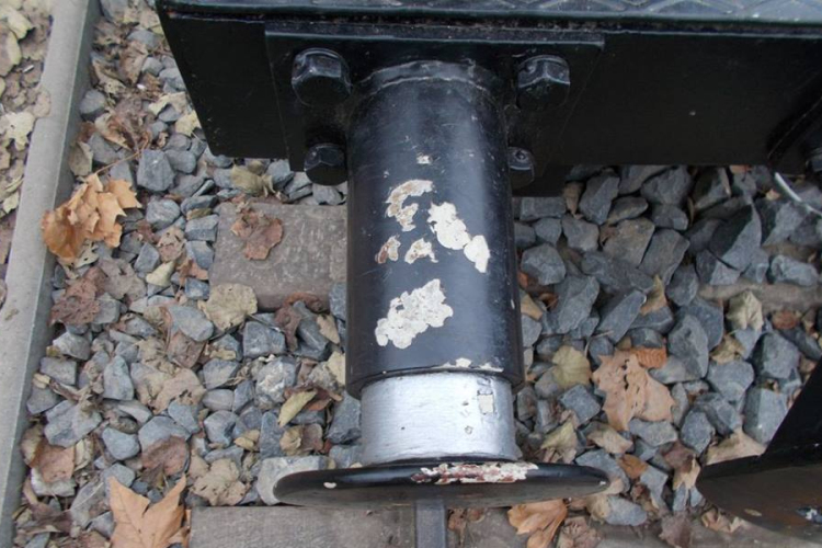 Muki és a vandálok - Gerencsér Tamás felvételei