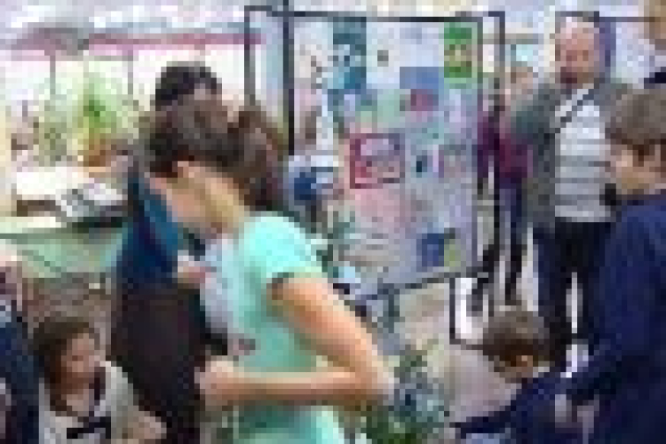 A fenyőfák útra keltek