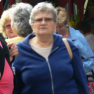 Támogatói aláírás gyűjtése