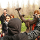 Séta a szoborparkban