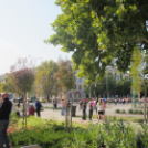 Pazar időben színes programok Szent Mihály napján