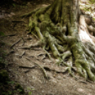 Képeket vegyenek az Arany iskoláért!