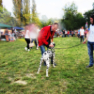 Parázs-varázs képekben