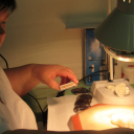 Szakmák éjszakája