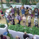 Foltvarrók találkoztak