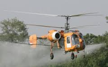 Jaj, a szúnyogoknak !