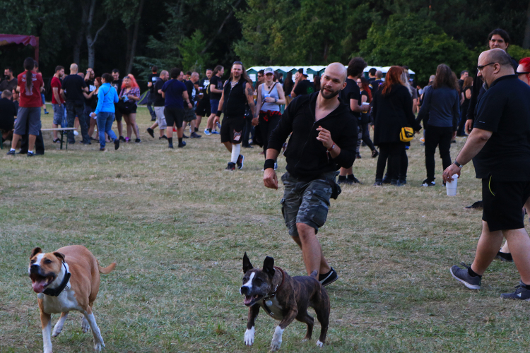 Rockmaraton 2017 (csütörtök) Somogyi Kata