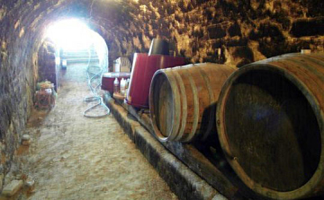 A borospincében lévő mustgáz, majdnem egy férfi halálát okozta