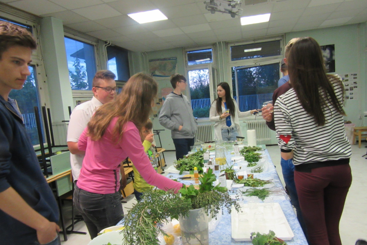 Szakmák éjszakája