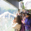 Hónap diákjai az állatkertben