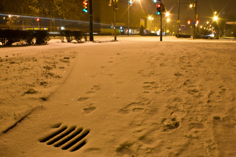 Készülés a télre