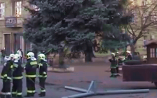 Barátság adta a város fáját - DSTV videóval