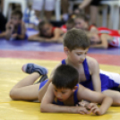 Gurics György birkózó emlék verseny