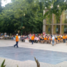 Fúvószenekarok és mazsorettek XIV. nemzetközi találkozója