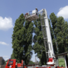 Tűzoltókocsi festés