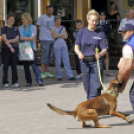 Szívvel-lélekkel a védelmünkben