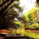 Képeket vegyenek az Arany iskoláért!