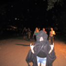 A hulláktól a pandán át a Biohazardig