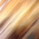 Dunaújvárosi Egyetem