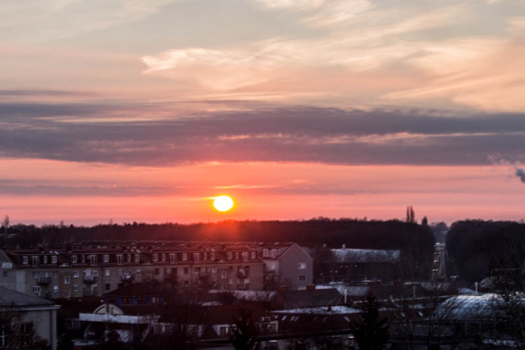 Nyílt- és Karriernap a DUF-on