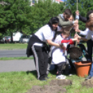 Új arcot kapott a Római városrész