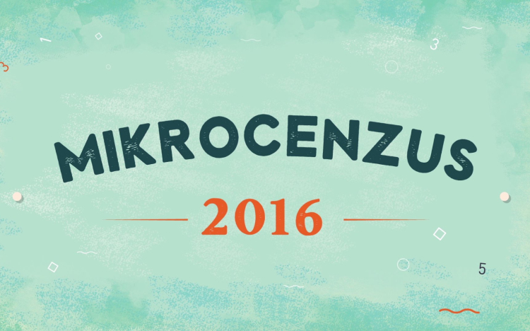 Mikrocenzus - a számlálóbiztosok