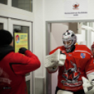 Dunaújvárosi Acélbikák 