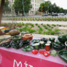 Megyenap városunkban