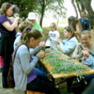 Múzeumok éjszakája 