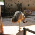 Hónap diákjai az állatkertben