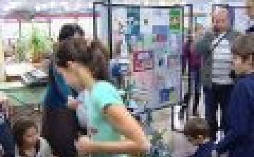 A fenyőfák útra keltek