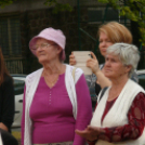 Sándor Frigyes szobrának leleplezése